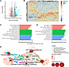 FMT drives changes in host transcriptional profiles.