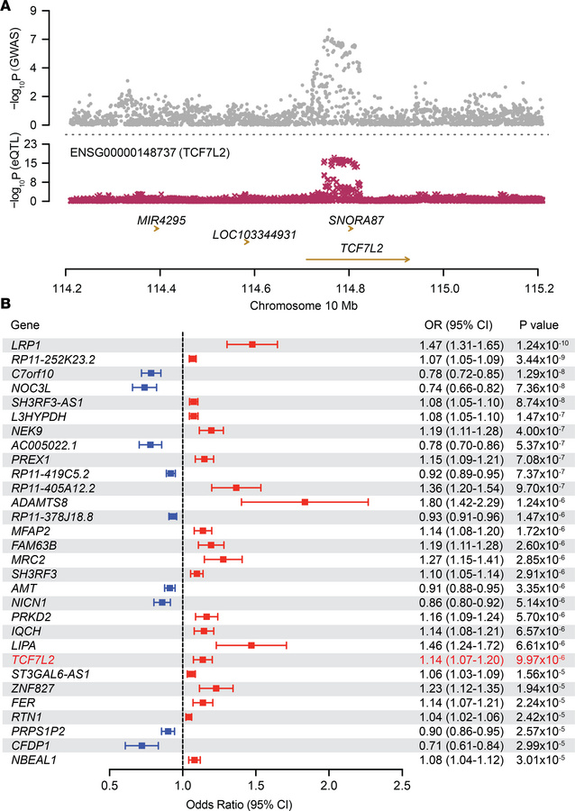 SMR identifies TCF7L2 as a putative causal gene for AAA susceptibility.
...
