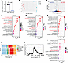 Transcriptomic and epigenetic profiling reveals TCF7L2 as a regulator of EC