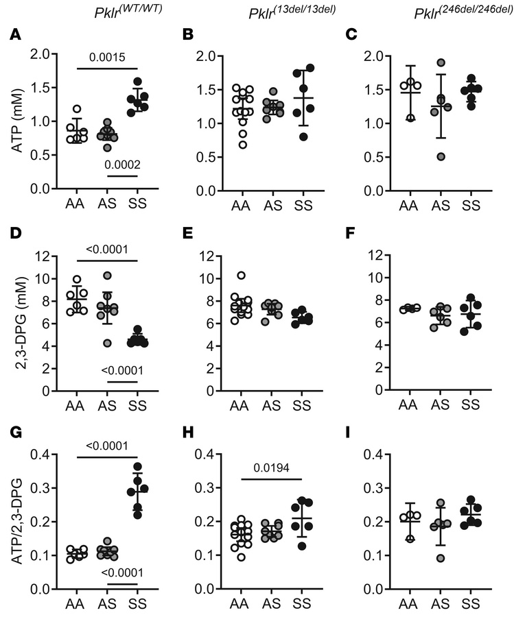 Coinheritance of Pklr-null mutations [Pklr(13ntdel/13ntdel) or Pklr(246n...