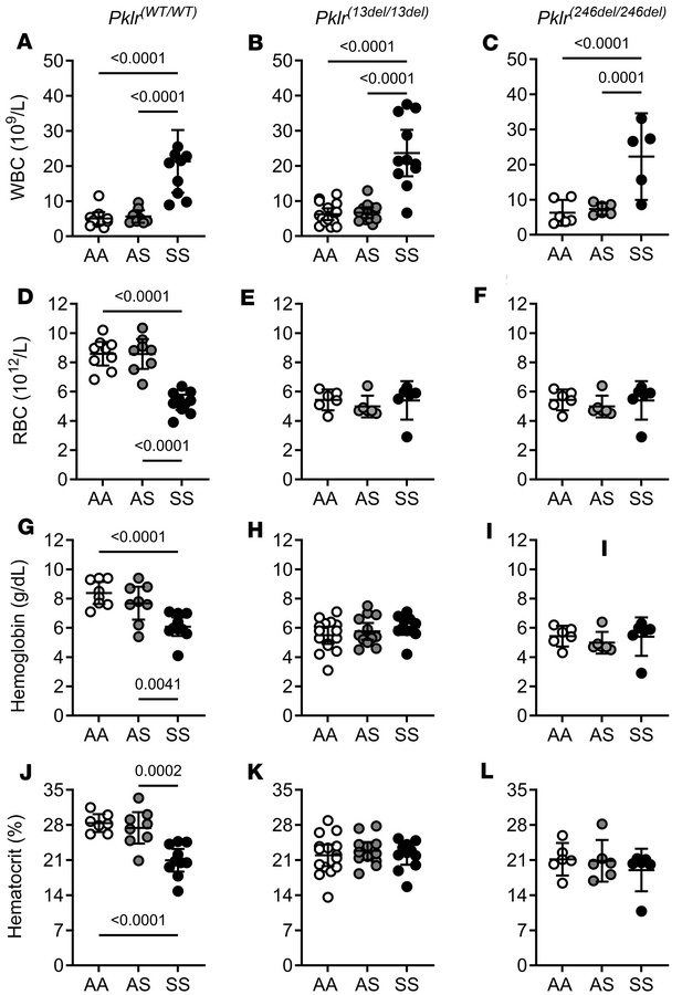 Coinheritance of Pklr-null mutations [Pklr(13ntdel/13ntdel) or Pklr(246n...