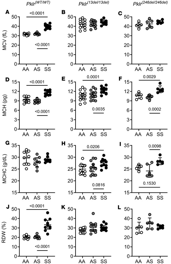 Coinheritance of Pklr-null mutations [Pklr(13ntdel/13ntdel) or Pklr(246n...