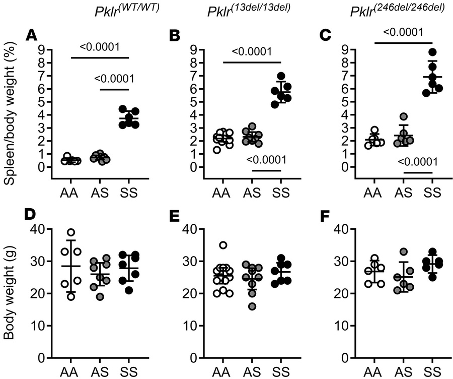 Coinheritance of Pklr-null mutations [Pklr(13ntdel/13ntdel) or Pklr(246n...
