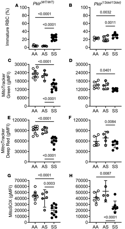 Coinheritance of Pklr-null mutation [Pklr(13ntdel/13ntdel)] specific for...