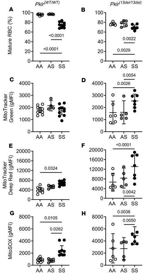 Coinheritance of Pklr-null mutation [Pklr(13ntdel/13ntdel)] specific for...