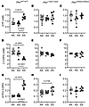 Coinheritance of Pklr-null mutations [Pklr(13ntdel/13ntdel) or Pklr(246ntde
