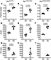 Coinheritance of Pklr-null mutations [Pklr(13ntdel/13ntdel) or Pklr(246ntde