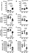 Coinheritance of Pklr-null mutation [Pklr(13ntdel/13ntdel)] specific for th