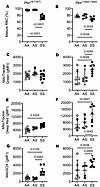 Coinheritance of Pklr-null mutation [Pklr(13ntdel/13ntdel)] specific for th