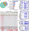 p300 co-occupies and activates HOXB13/HDAC3-bound lipogenic enhancers.