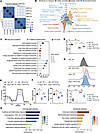 USP10 overexpression contributes to the restoration of mitochondrial functi