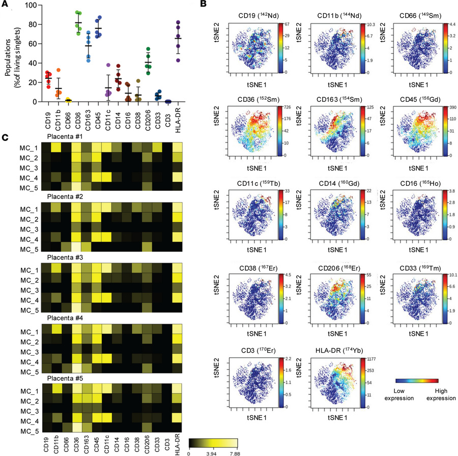 Single-cell heterogeneity of HBCs revealed by multidimensional immunophe...