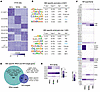 Chromatin accessibility and enrichment of transcription factor motifs delin