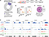 SREBP-like motif enrichment and target gene activity in HBCs.