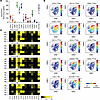 Single-cell heterogeneity of HBCs revealed by multidimensional immunophenot