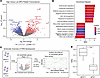 Platelet RNA transcriptomics in MPAhi versus MPAlo groups.