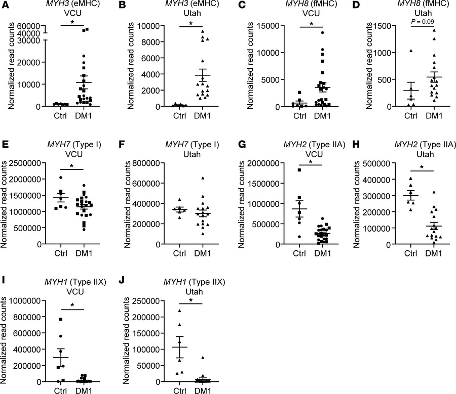 DM1 patient muscles have increased developmental MYH expression and decr...