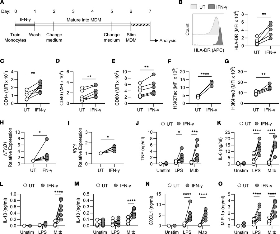 IFN-γ induces trained immunity in human monocytes.
Enriched monocytes we...
