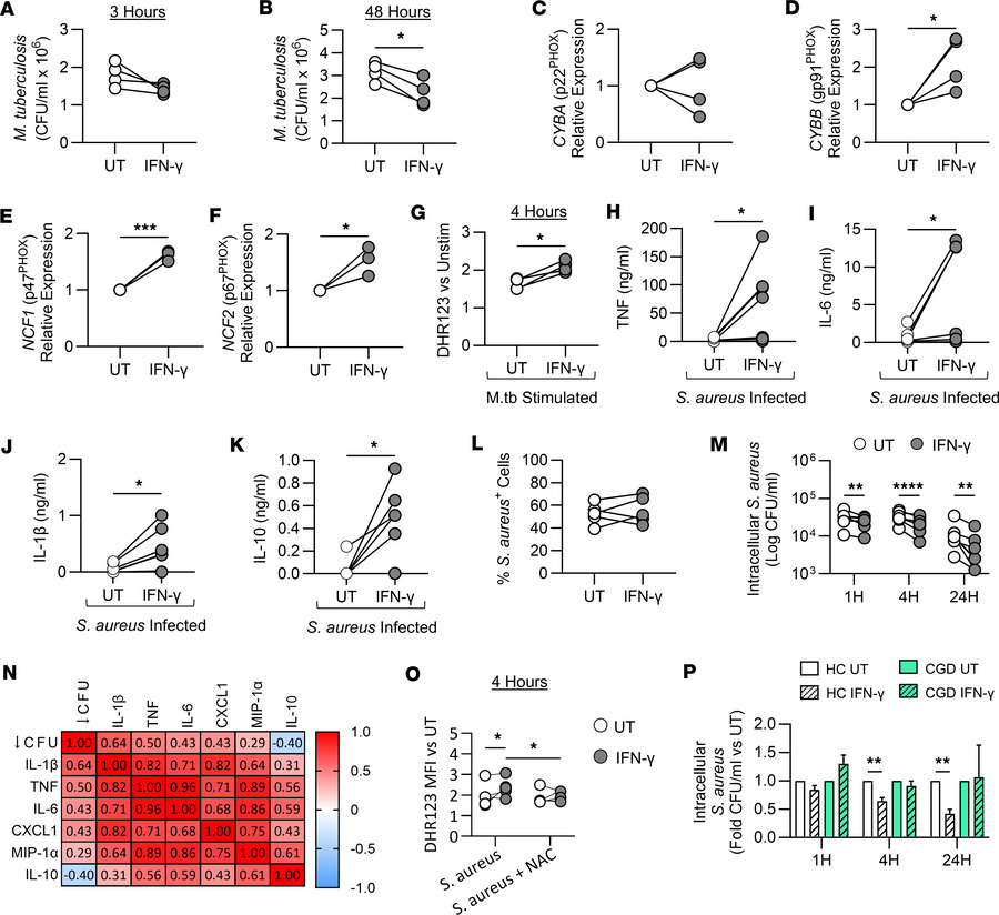 IFN-γ training increases the capacity of MDM to kill S. aureus and M. tu...