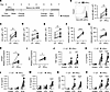 IFN-γ induces trained immunity in human monocytes.