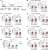 IFN-γ–induced trained immunity requires mTOR activation, glutaminolysis, an