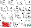 IFN-γ training increases the capacity of MDM to kill S. aureus and M. tuber
