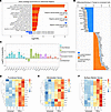 IFN-γ training epigenetically alters MDM.