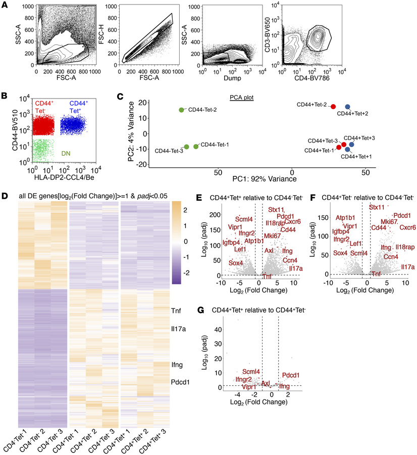 Transcriptional landscape of CD4+ T cells in the lungs of BeO-exposed HL...