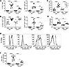 Phenotype of tissue-resident CD4+ T cells in BeO-exposed HLA-DP2 Tg CCL3–/–