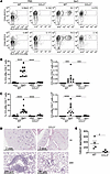 HLA-DP2 tetramer staining of CD4+ T cells in BeO/LPS-exposed WT and CCL3–/–