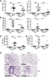 Reduced total and antigen-specific CD4+ T cells in BeO-exposed TNF-α–defici