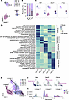 Dynamics of muscle-resident Schwann cell subtypes in healthy and remodeling