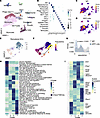 scRNA-Seq suggests that SPP1 neutralization stalls tSC state transitions af