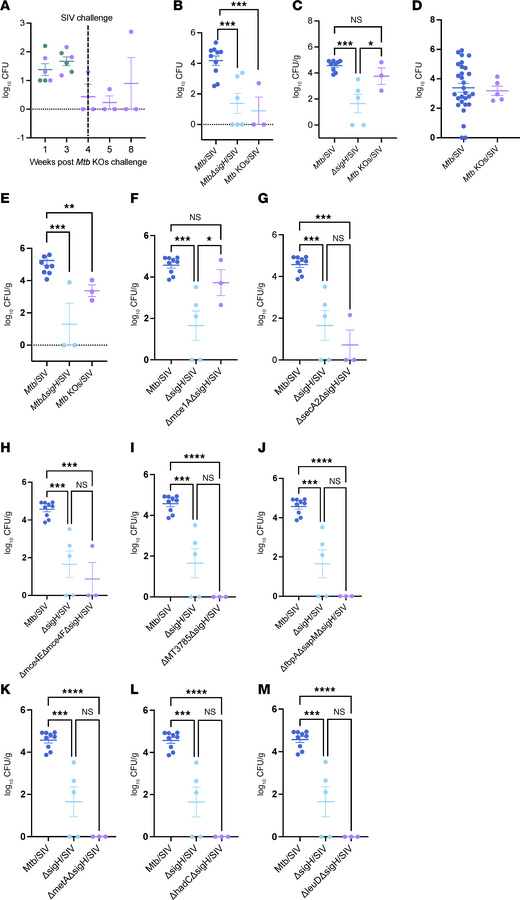 Thoracic bacterial burden in rhesus macaques following Mtb KOs or Mtb KO...