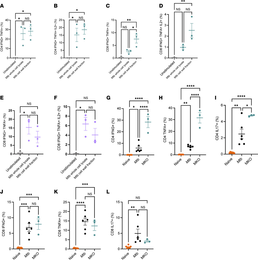
MtbΔsigH-based KOs induces superior antigen-specific immune responses i...