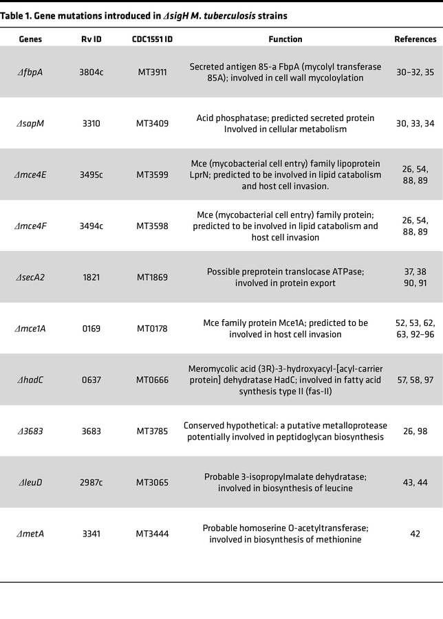 Gene mutations introduced in ΔsigH M. tuberculosis strains