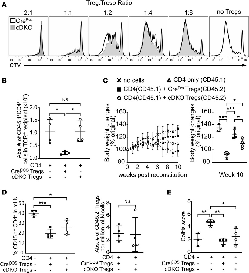 FOXP1 and FOXP4 are essential for Treg suppressive function.
(A) Represe...