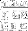 FOXP1 and FOXP4 are essential for Treg suppressive function.