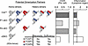 Proposed interaction pattern of FOXP TF members in Treg cells.