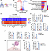 PMN transcriptome is shaped by the loss of Erg in ECs.