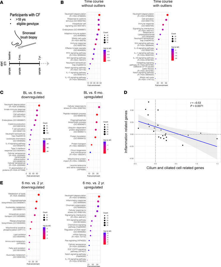 Sinonasal differential gene expression in response to ETI therapy.
(A) S...