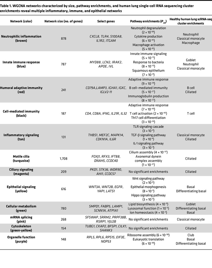 WGCNA networks characterized by size, pathway enrichments, and human lun...