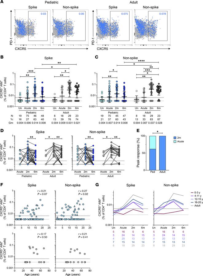 SARS-CoV-2–specific cTFH and antibody response in children.
(A) Represen...