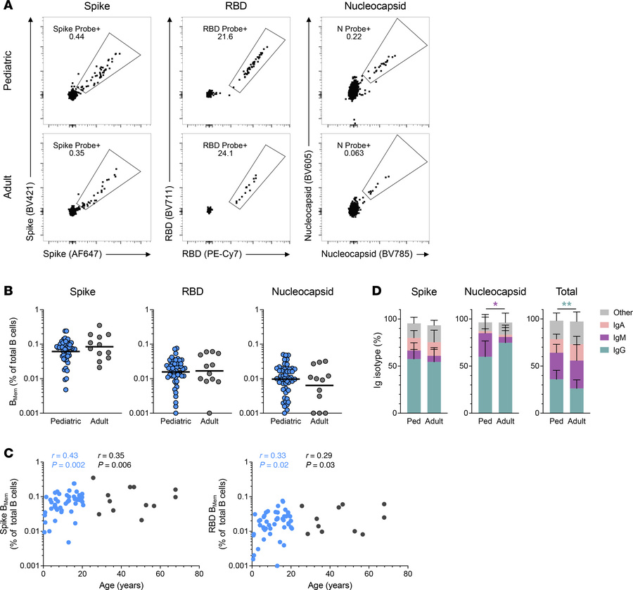 Antigen-specific B cell memory to SARS-CoV-2 infection in children and a...