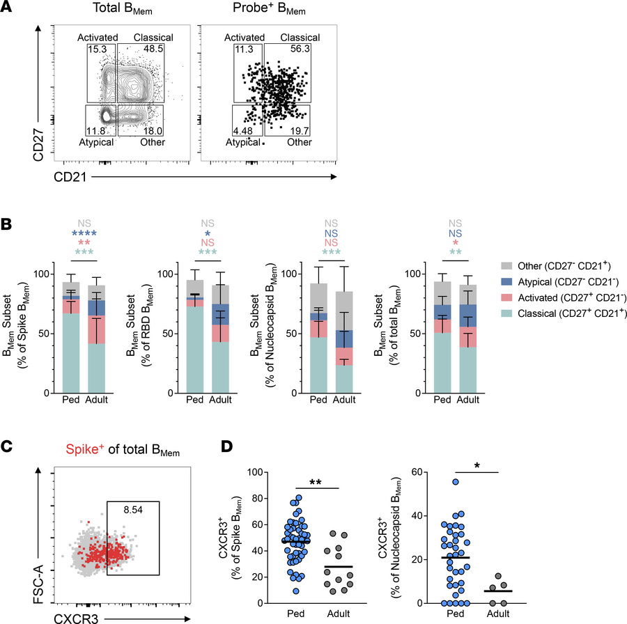 SARS-CoV-2–specific BMem in children are predominantly classical BMem an...