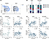 T helper subset distribution in SARS-CoV-2–infected children and adults.