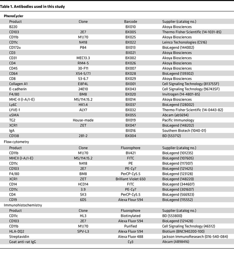 Antibodies used in this study