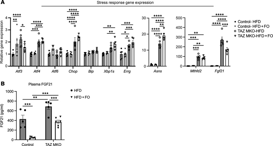 TAZ deficiency affects cellular health and fish oil modulates only some ...