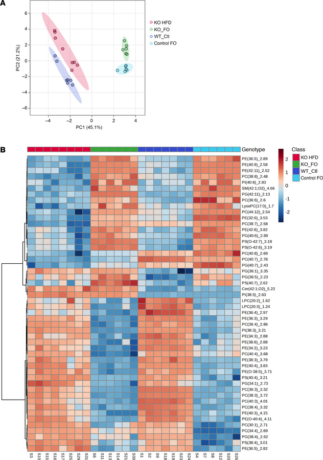 TAZ deficiency affects many phospholipids with differing responses to fi...