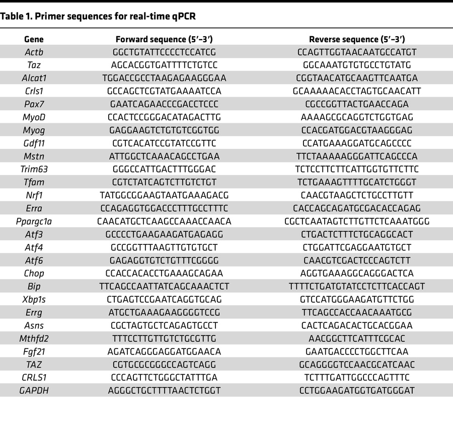 Primer sequences for real-time qPCR